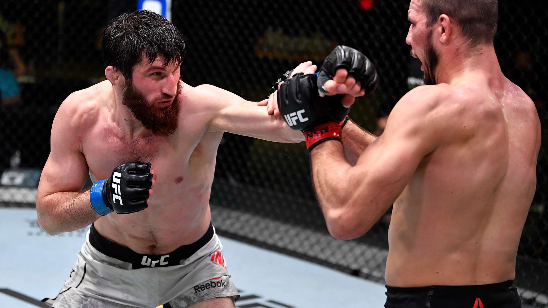 他甚至一度 他甚至一度